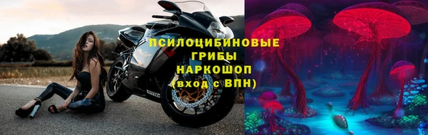 мяу мяу мука Бородино