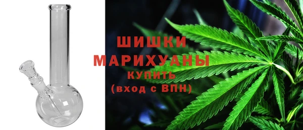 крисы Богородск