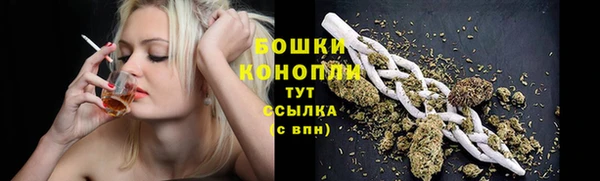 гидропоника Бугульма