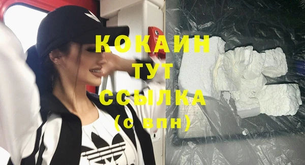 ПСИЛОЦИБИНОВЫЕ ГРИБЫ Богданович