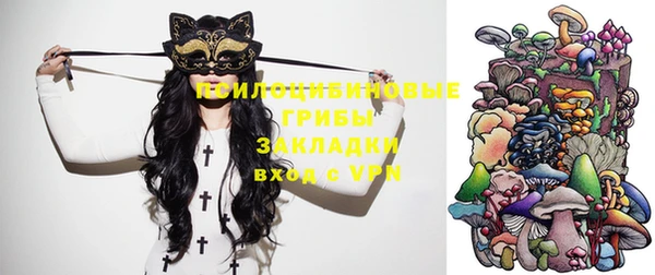 крисы Богородск
