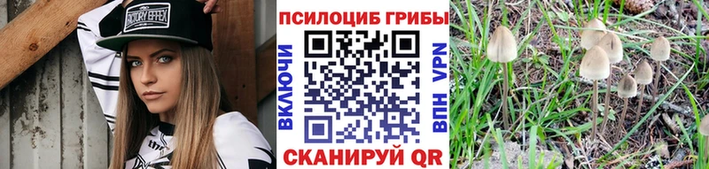 KRAKEN ссылки Среднеуральск Псилоцибиновые грибы Psilocybine cubensis